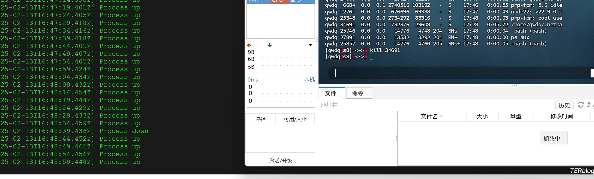 Serv00 服务器哪吒 Agent 保活并启用网页实时输出监控 Serv00 服务器哪吒 Agent 保活并启用网页实时输出监控