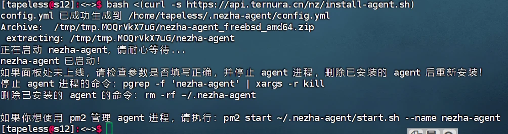 Serv00 服务器哪吒 Agent 保活并启用网页实时输出监控